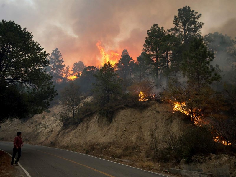 Combatientes entran a infiernos forestales; quemas crecieron 24% en 2021, respecto de 2020