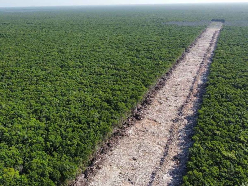 Sedatu busca expropiar 38 hectáreas para el tramo 5 del Tren Maya